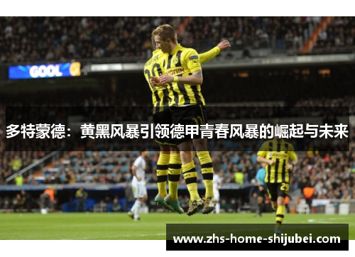 多特蒙德：黄黑风暴引领德甲青春风暴的崛起与未来